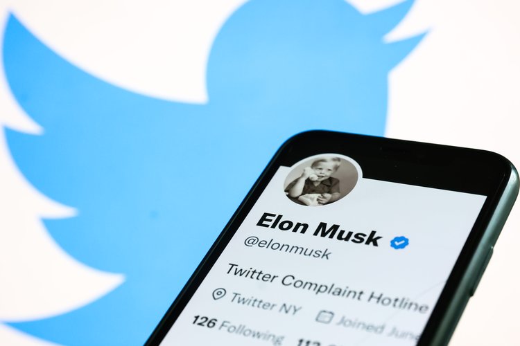 Elon Musk teria ignorado documento com alertas sobre os perfis falsos no Twitter.