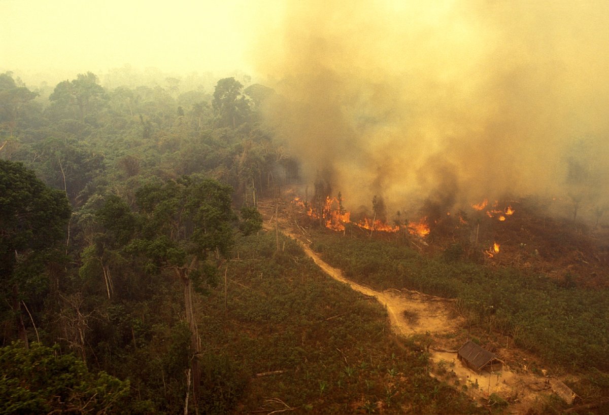 Visão aérea de incêndio na Amazônia