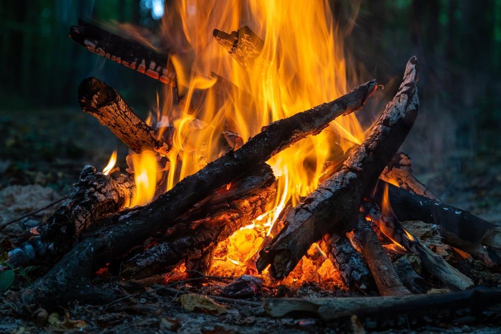 Pesquisa revela a evidência mais antiga do uso controlado de fogo para cozinhar alimentos