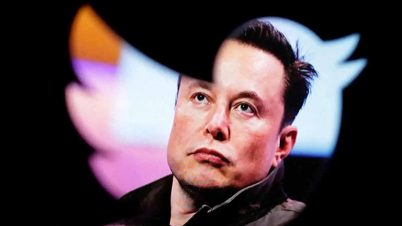 Elon Musk deve conceder anistia a certas contas suspensas nesta semana.