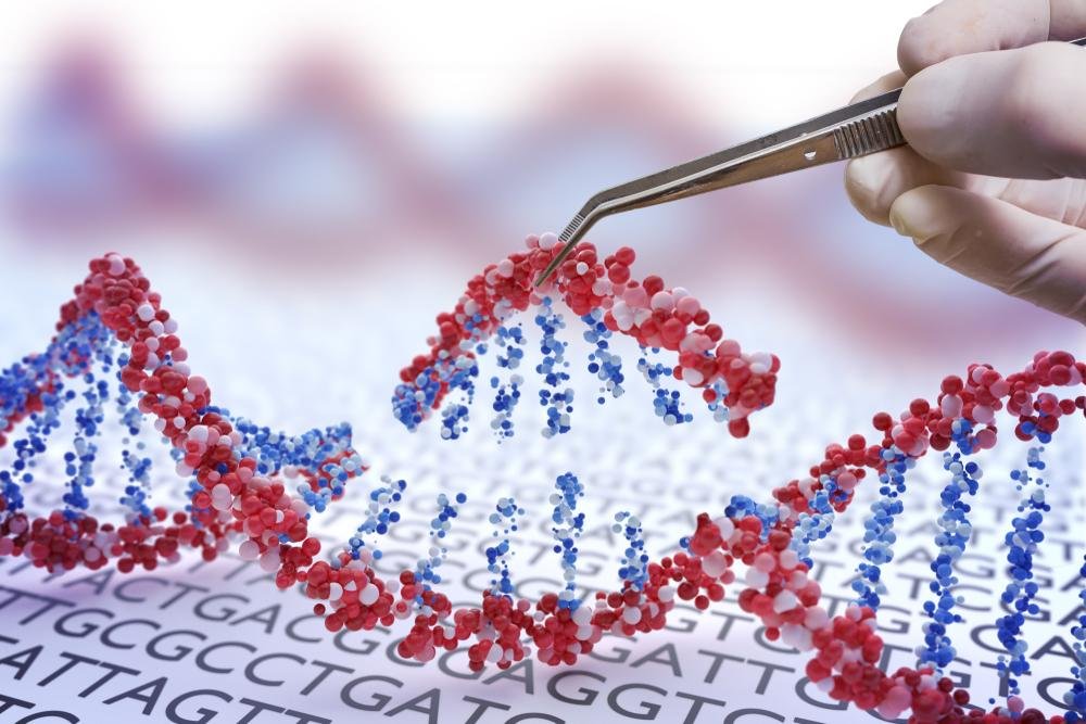 O MIT apresentou uma ferramenta de CRISPR, mais segura e eficiente, para editar o código genético de uma célula defeituosa