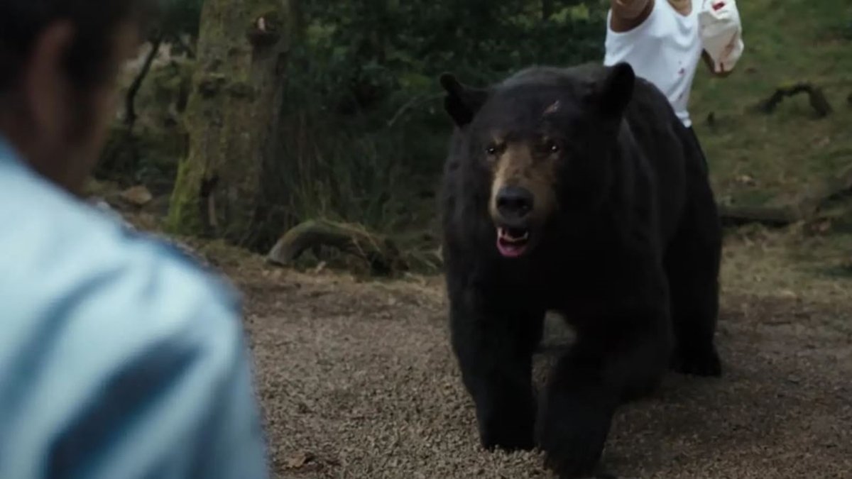 Cocaine Bear: urso drogado aterroriza pessoas em trailer de filme