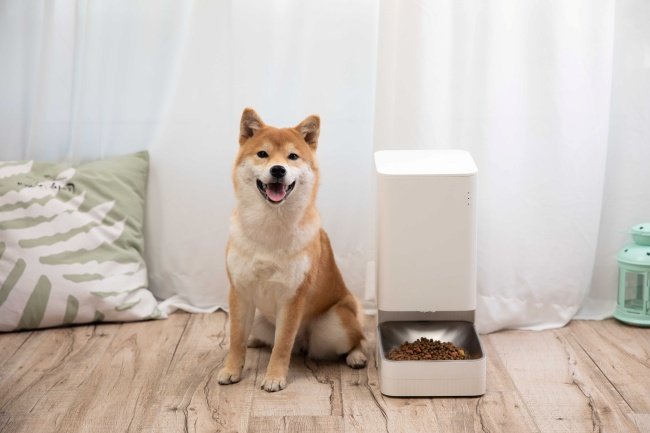 Alimentador inteligente da Xiaomi para pets.