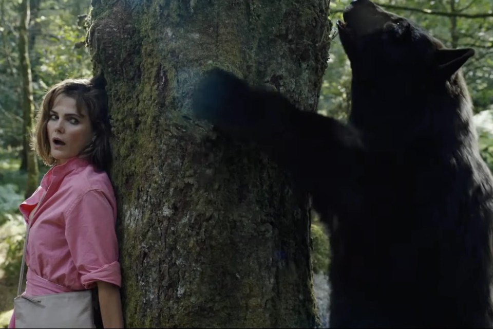 Cocaine Bear: urso drogado aterroriza pessoas em trailer de filme