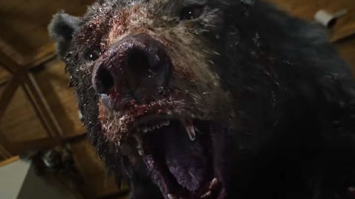 Um urso do filme urso