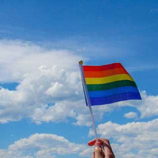 Imagem de Torcedores levam bandeira LGBT+ à Copa do Mundo no Qatar com AR