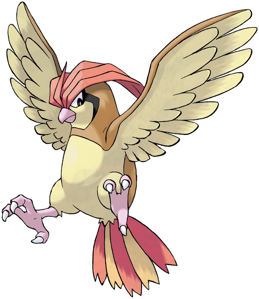 Fearow Tipo Normal e voador