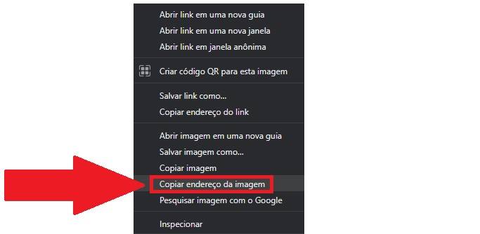 Copie a URL da imagem para pesquisa-la em seguida