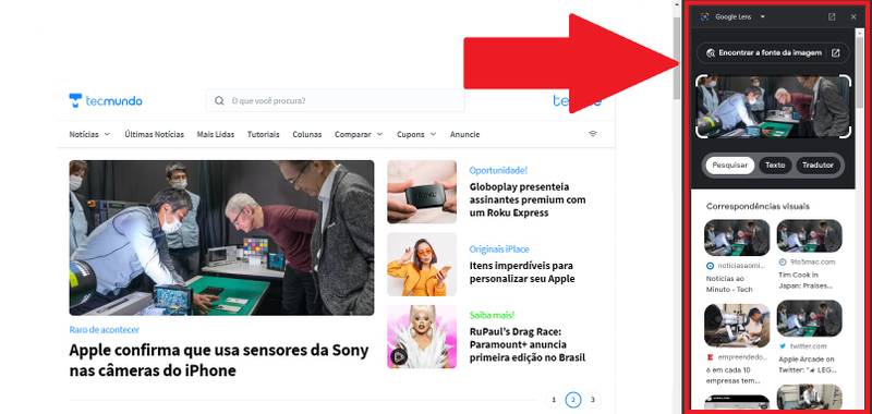 Os resultados da pesquisa aparecem em uma pequena tela, ao lado do site onde está hospedada a imagem