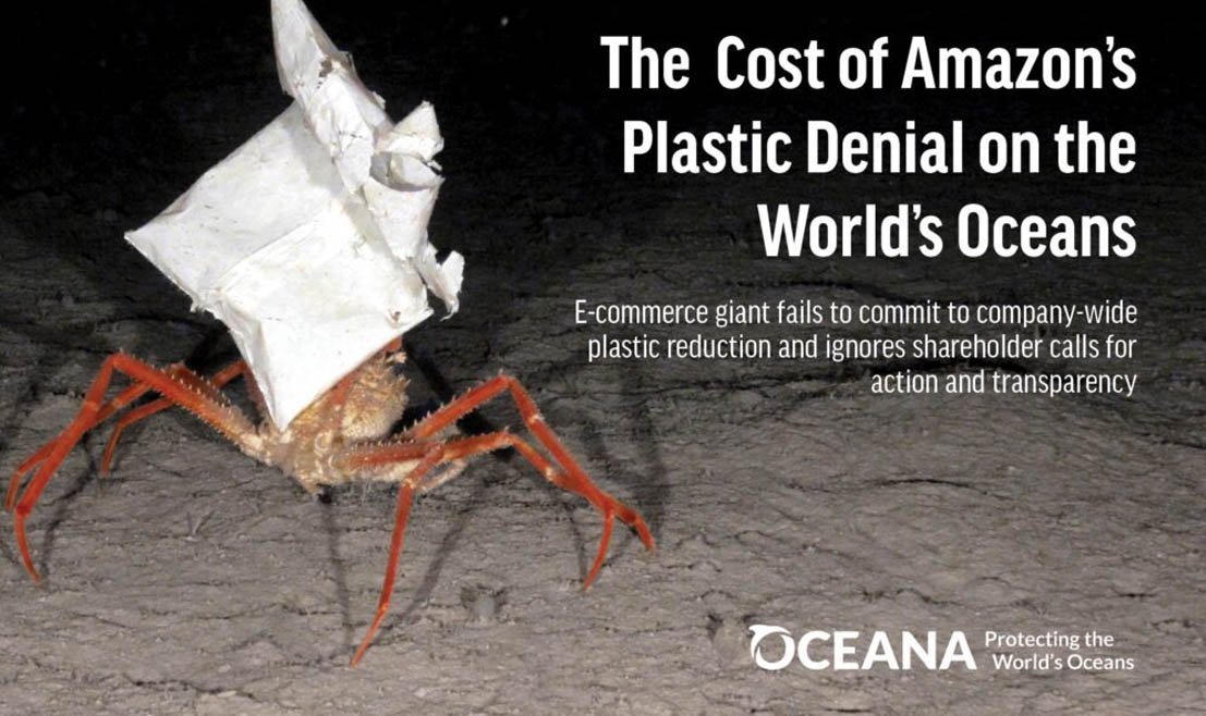 O relatório foi nomeado de "O custo da negação do plástico da Amazon nos oceanos do mundo"; as vendas da Amazon cresceram 22% no mesmo período.