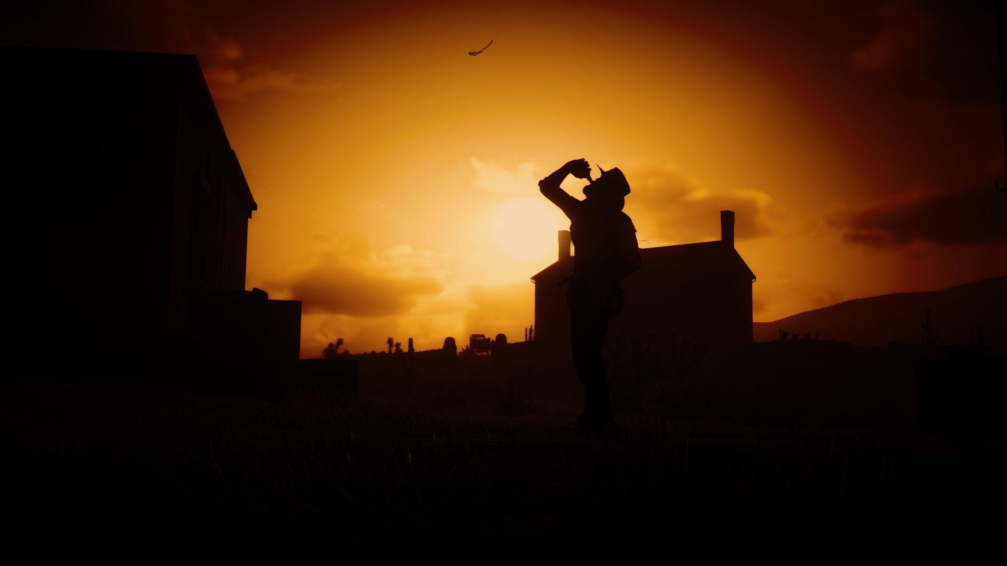 Foto tirada no jogo Red Dead Redemption 2 - Imagem: Reprodução/Twitter: @gelndo