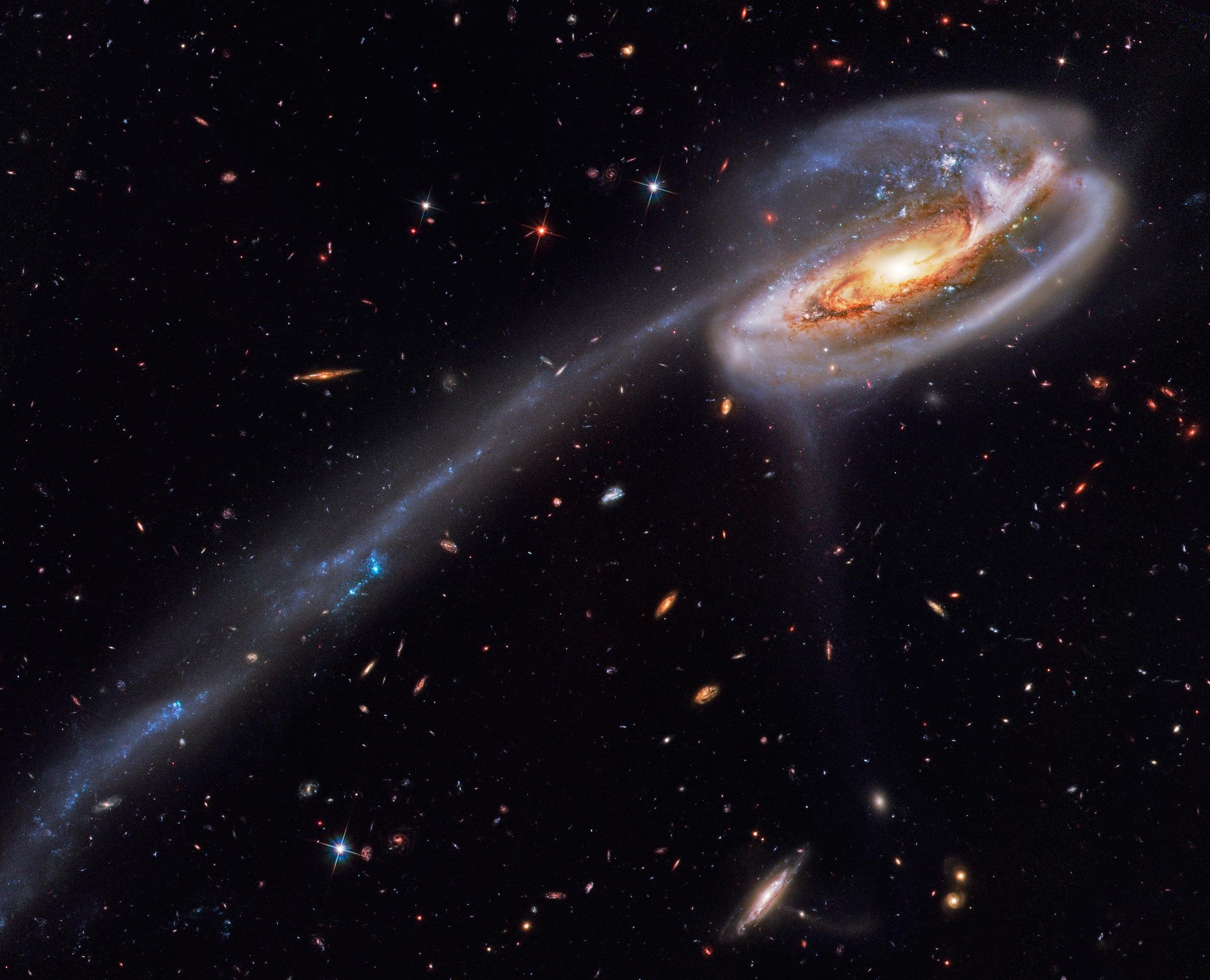 A galáxia Arp 188 e a sua cauda fruto de uma interação gravitacional.