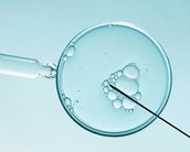 Fertilização In Vitro: entenda como funciona e quem pode fazer