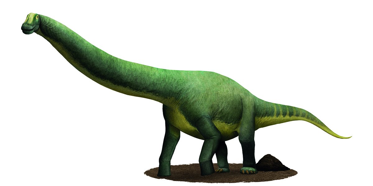 Ilustração do Austroposeidon, considerado um dos maiores dinossauros que já viveu no Brasil