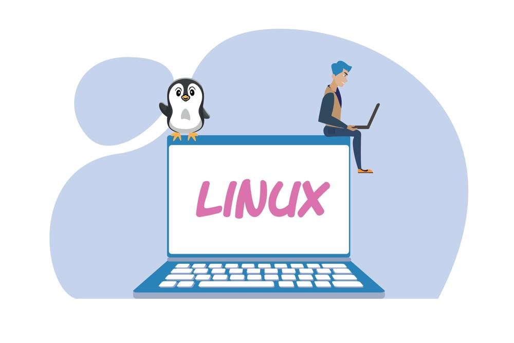 O sistema operacional Linux, assim como o Windows, possui alguns comandos. Confira!