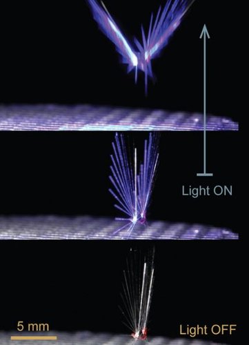 Na imagem, é possível ver a comparação do FAIRY com a luz ligada e desligada.