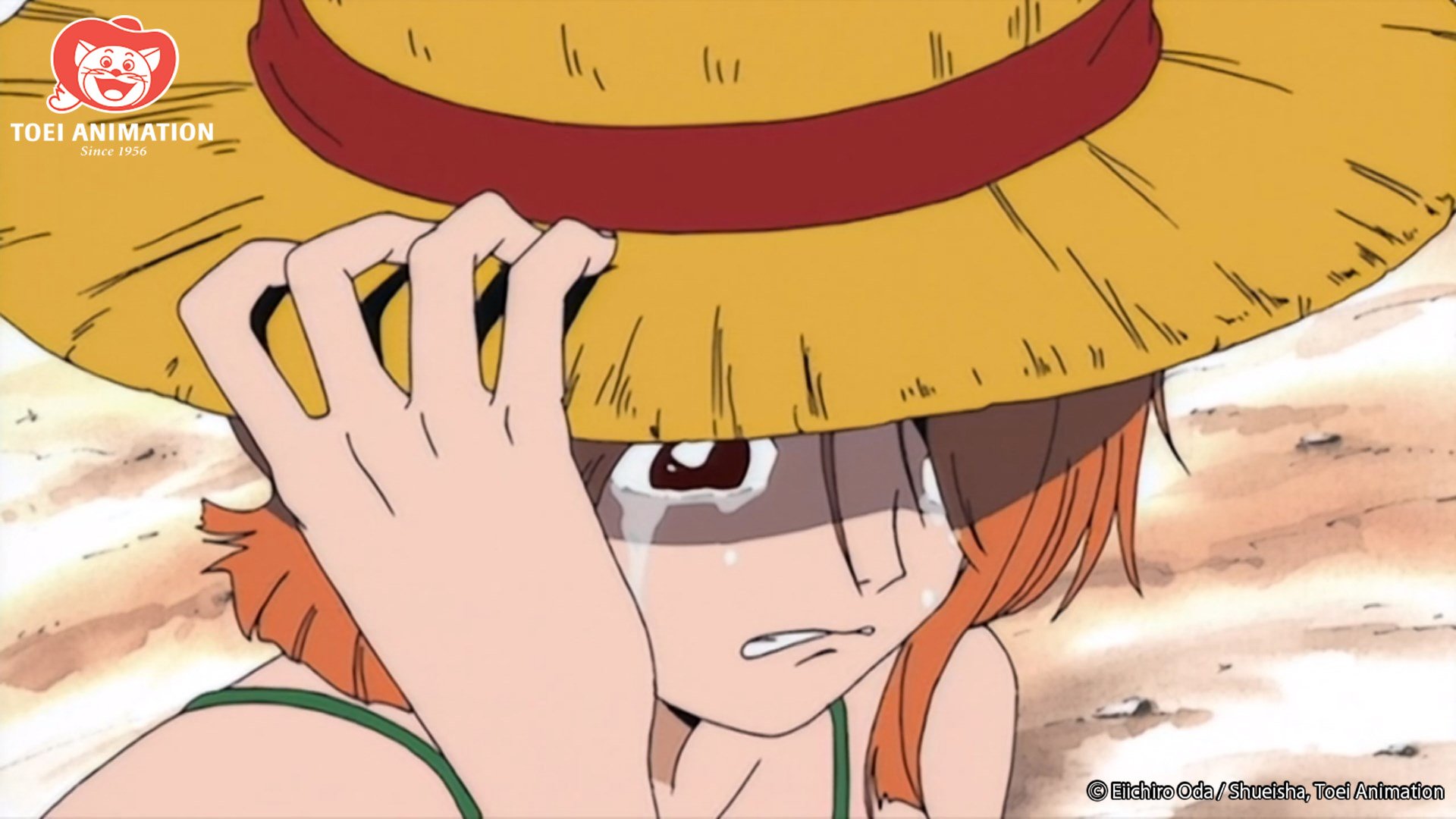 Argumentos de One Piece Season 2 já estão escritos