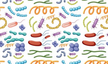 O que é microbiota ou microbioma humano?