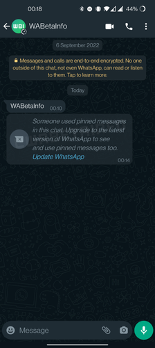 Aparentemente, as mensagens fixadas devem chegar primeiro ao WhatsApp Business.