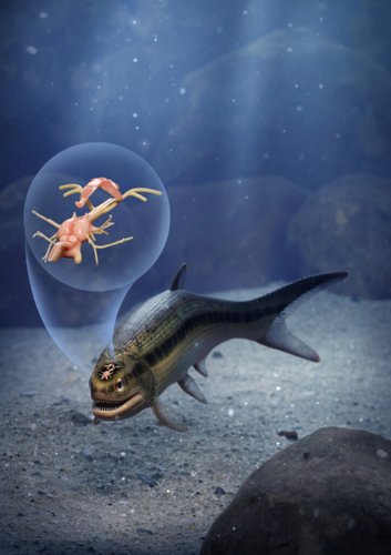 Ilustração do Coccocephalus wildi; o cérebro fossilizado é semelhante ao de alguns animais encontrados atualmente, como o esturjão e o peixe-espada