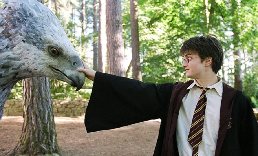 Em seu 3º ano, Harry Potter esteve matriculado na disciplina sobre o Trato das Criaturas Mágicas. (Warner Bros. Pictures/Reprodução)