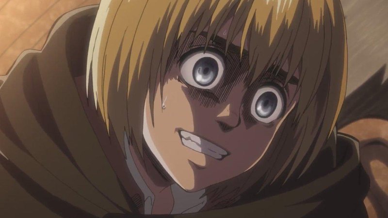 Armin Arlert