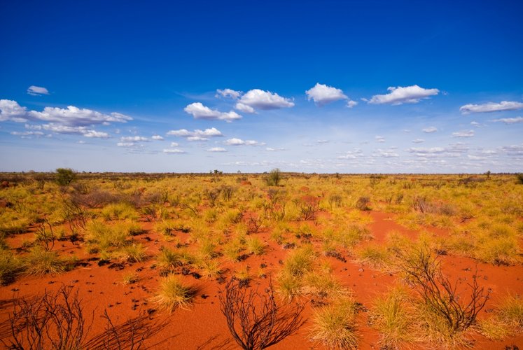 As mudanças climáticas podem alterar a paisagem do planeta dentro de alguns anos, fazendo surgir novas áreas secas