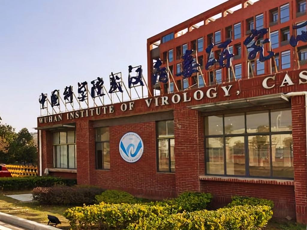 O Instituto de Virologia de Wuhan – foco de debates políticos – não foi formalmente apontado no relatório do DoE. (Fonte: Wuhan Institute of Virology/Wikimedia Commons/Reprodução)