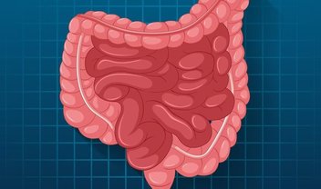 Você é o que você come: entenda a importância da microbiota intestinal