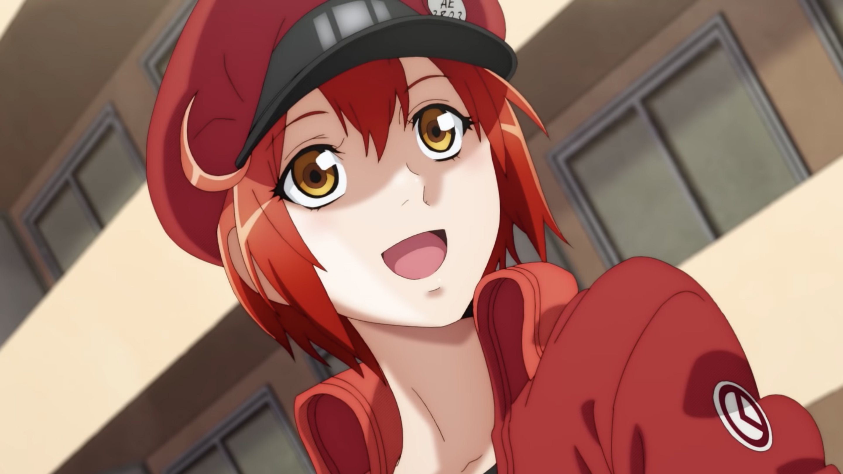 CELLS AT WORK/HATARAKU SAIBOU] Porque você deve assistir o anime Cells At  Work/Hataraku Saibou 