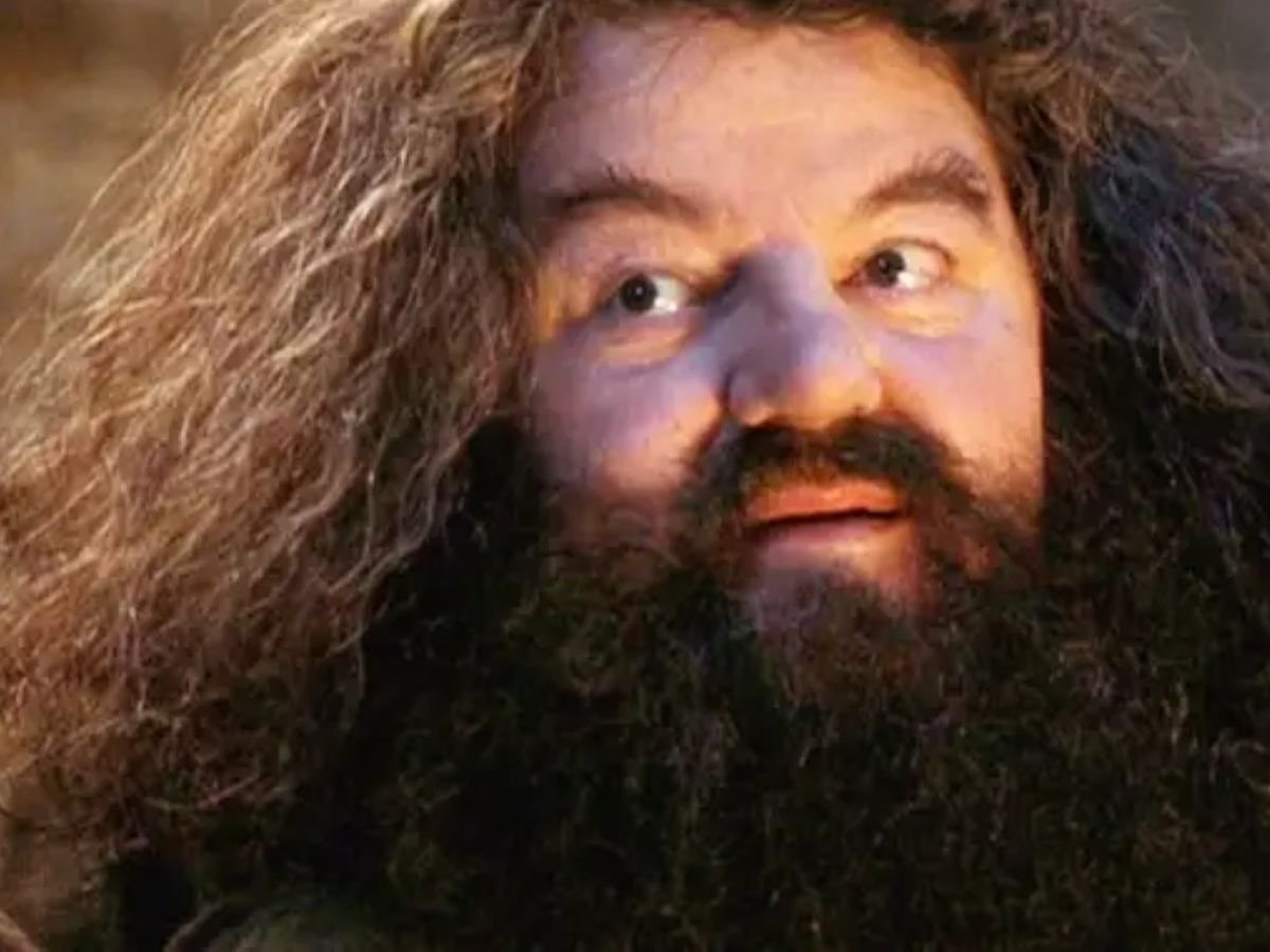 Rúbeo Hagrid em Harry Potter e o Cálice de Fogo (2005).