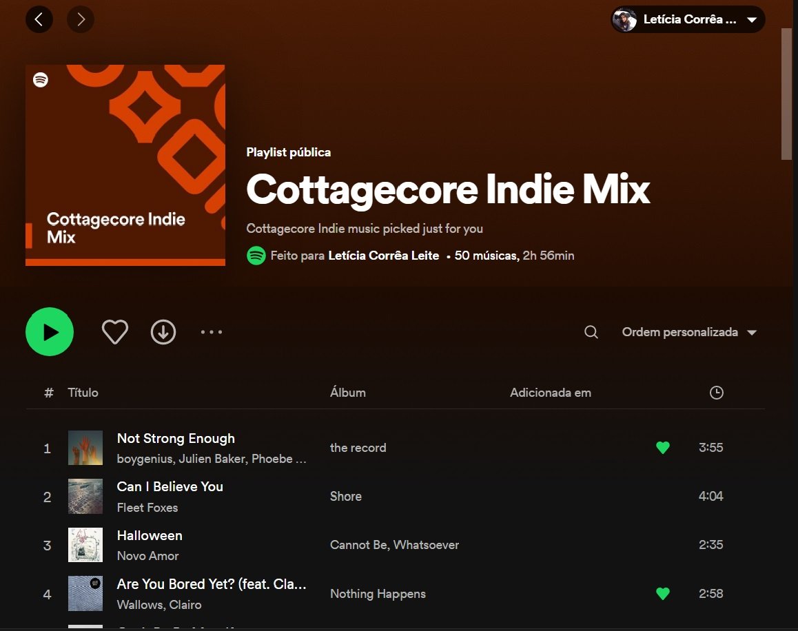 Usando a palavras-chave "Cottagecore Indie Mix", um Niche Mix foi criado baseado nas preferências musicais do usuário 