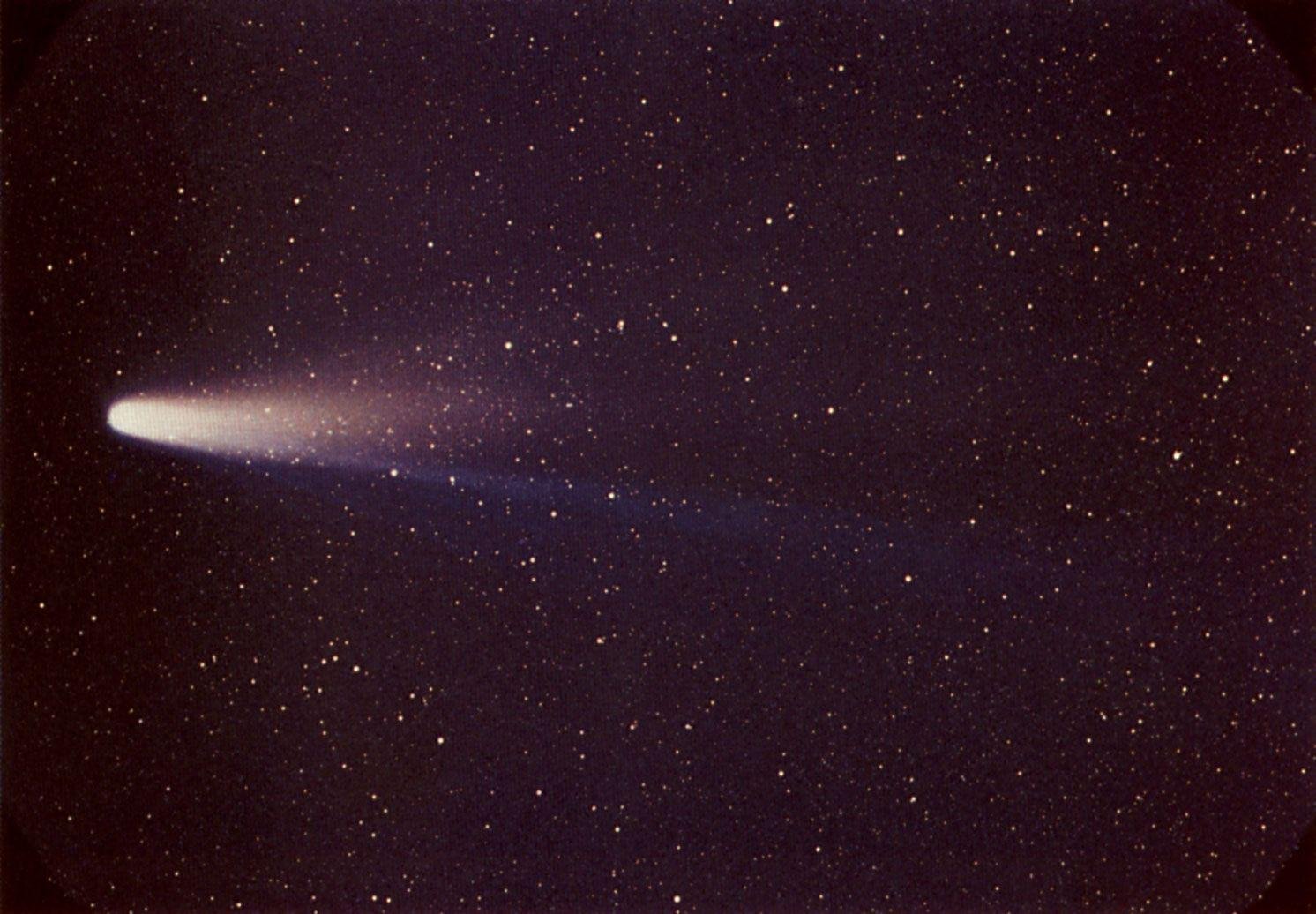 O cometa Halley.