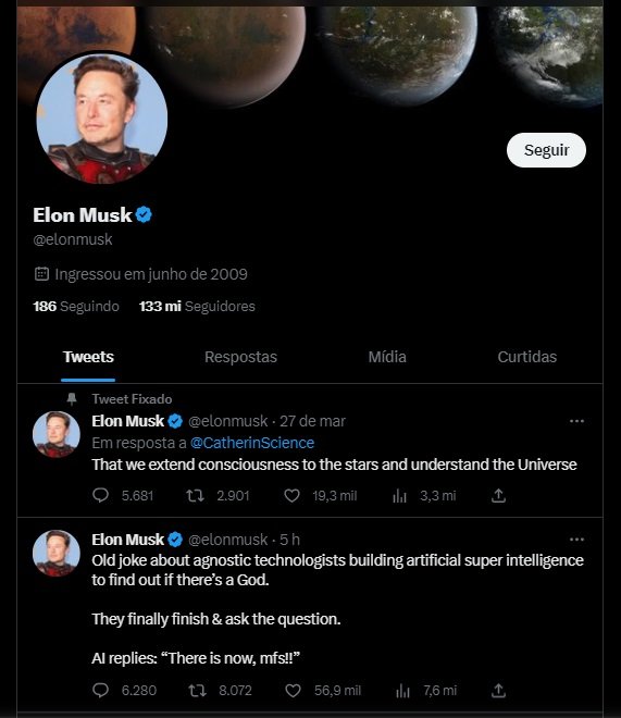 O perfil de Musk.