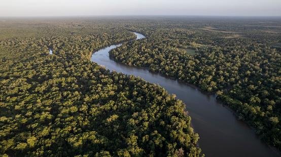 A floresta amazônica cobre boa parte do país e é um dos sumidouros de carbono mais importantes do mundo