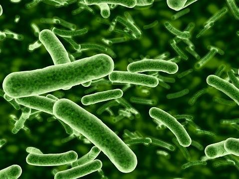 Estimativas recentes apontam que as superbactérias podem matar 10 milhões de pessoas por ano até 2050.