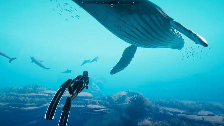 Beyond Blue oferece uma experiência marcante aos jogadores ao mergulhar no fundo do mar. (Epic Games Store/Reprodução)