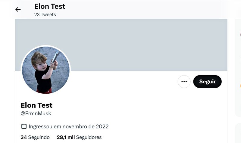 Pessoas pesquisaram a foto e encontraram o nome de usuário “Elon Test” e o handle @ErmnMusk