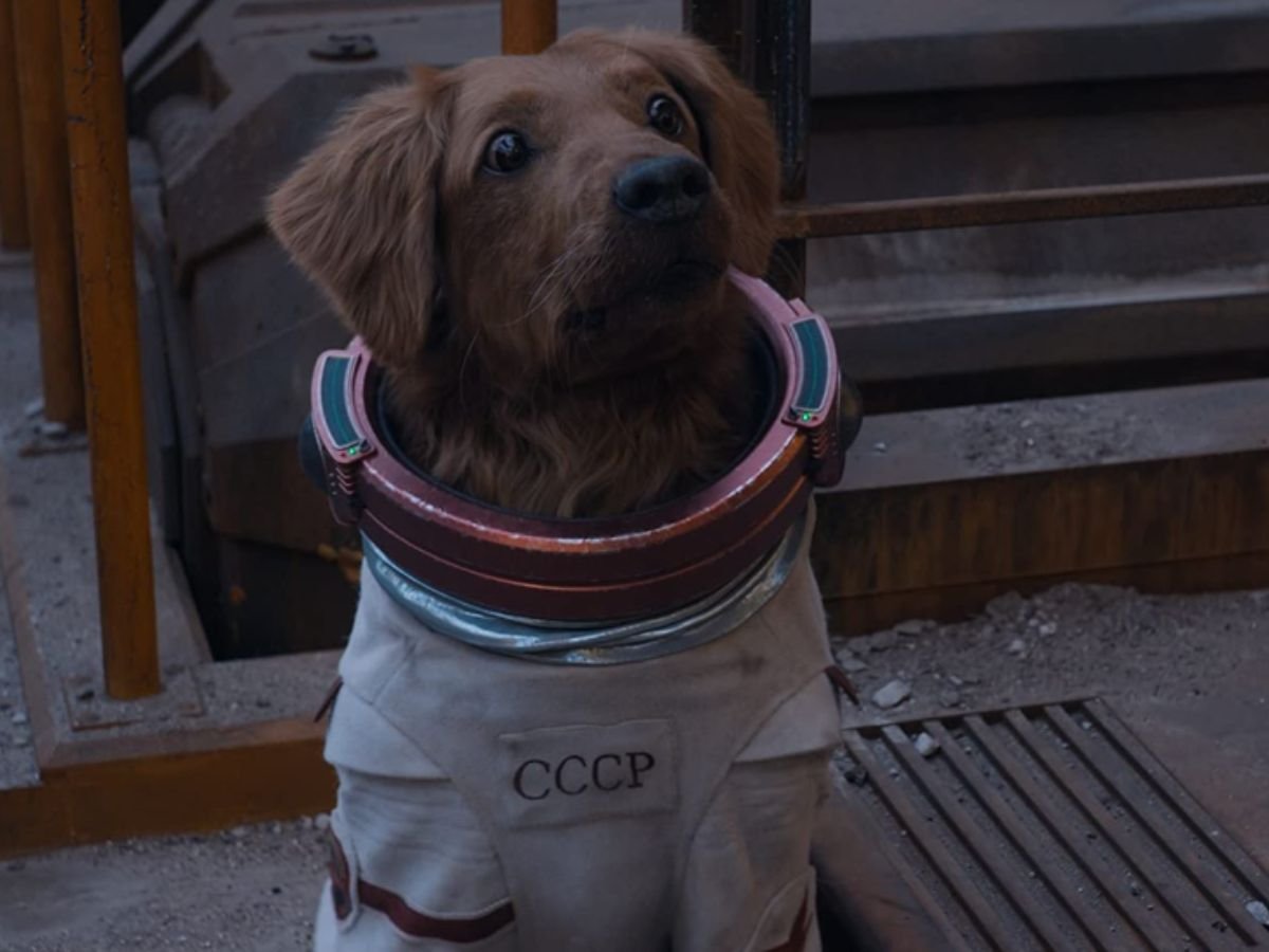 Cosmo é o cão espacial com poderes telepáticos.