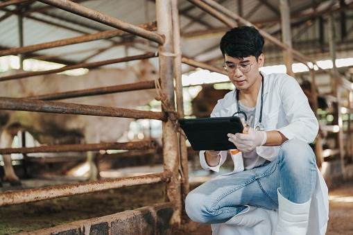 No curso de Veterinária, os alunos contam com uma série de aulas práticas