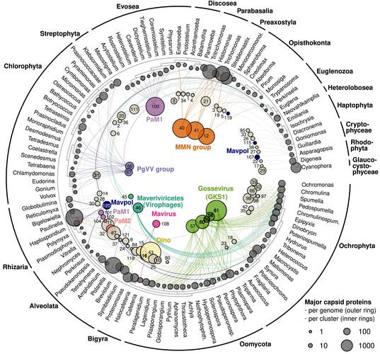 Distribuição de genes característicos de vírus encontrados nas 238 espécies analisadas.