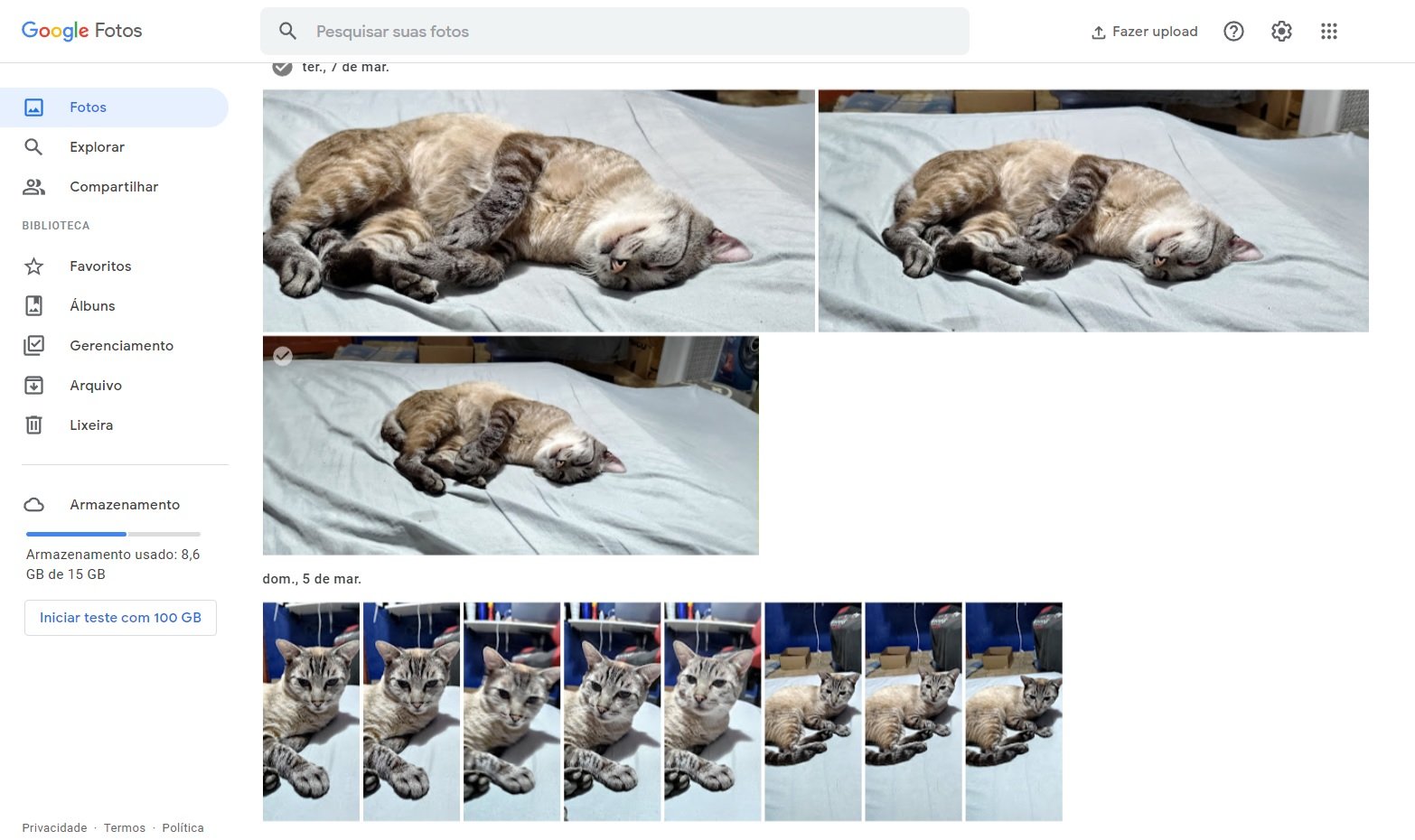 A página principal do Google Fotos mostra todos os arquivos salvos na nuvem