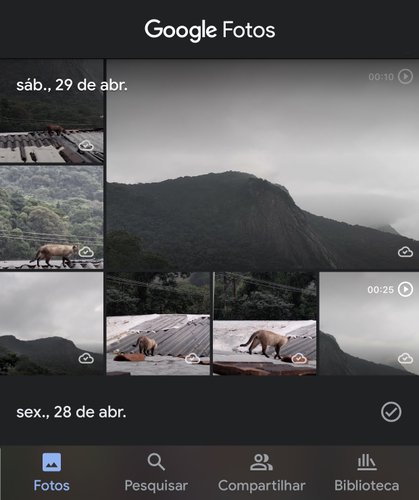 Depois de se logar no Google Fotos, você conseguirá visualizar os seus arquivos