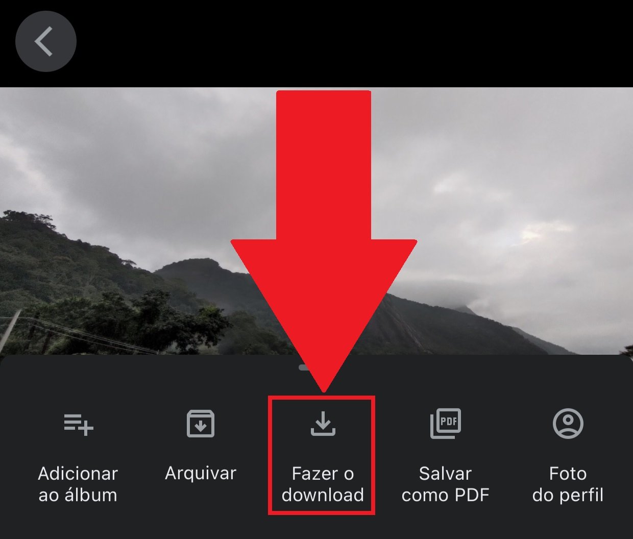 Clicando em "Fazer o download" você baixa automaticamente a foto ou vídeo armazenado na nuvem