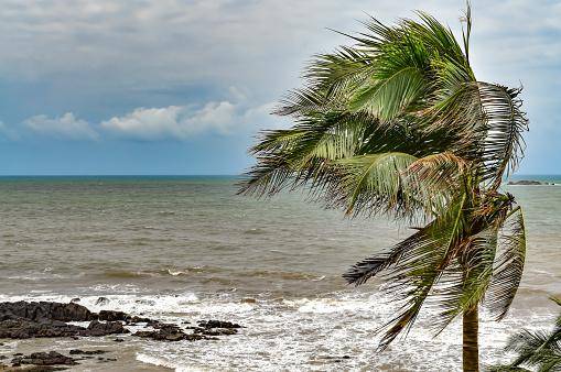 O retorno do El Niño levará o mundo a um novo pico de aquecimento global.