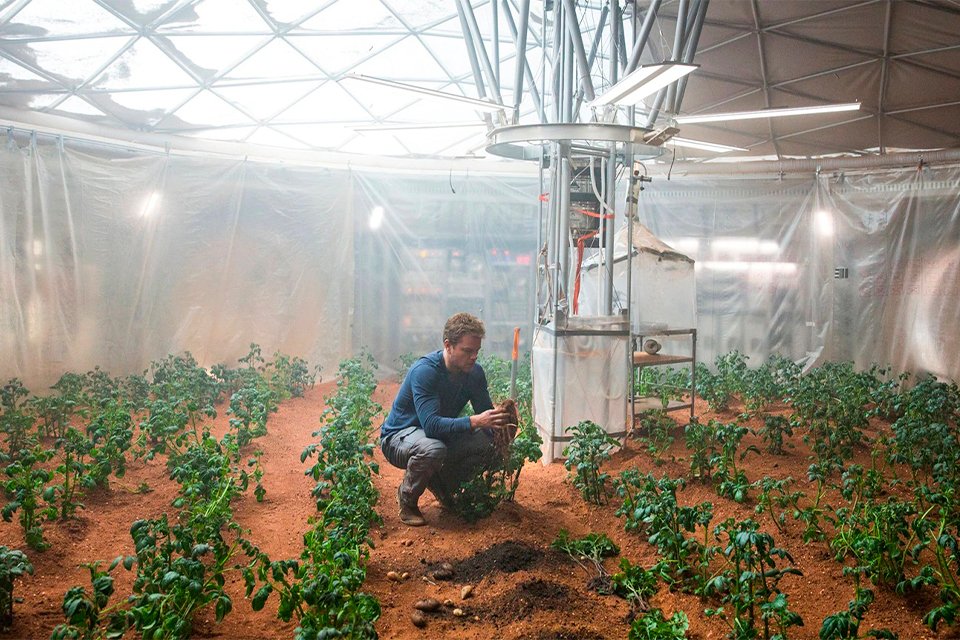 No filme “Perdido em Marte”, o personagem vivido por Matt Damon sobrevive à base de sua plantação de batatas no planeta vermelho.