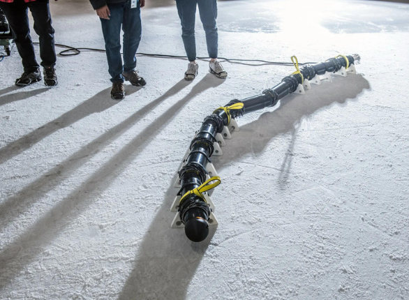 Exobiology Extant Life Surveyor (EELS), robô-cobra criado pela NASA para explorar lua de Satuno. (Divulgação: NASA/JPL-CalTech)