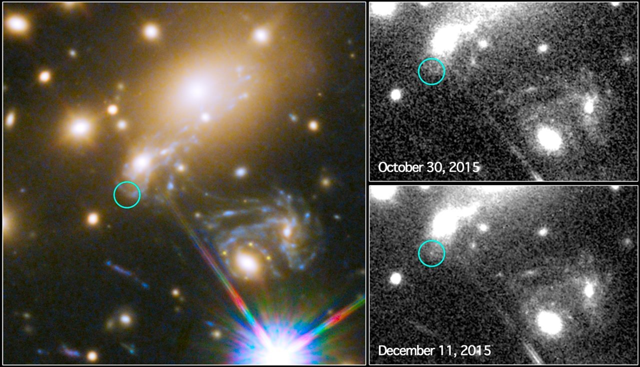 Aparições da supernova Refsdal capturadas pelo Telescópio Espacial Hubble da NASA. (Divulgação: NASA, ESA, and P. Kelly (University of California, Berkeley)).