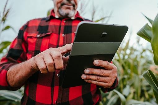 Descrição da Imagem: um homem de meia idade com camisa xadrez vermelha com, preto, usando um tablet