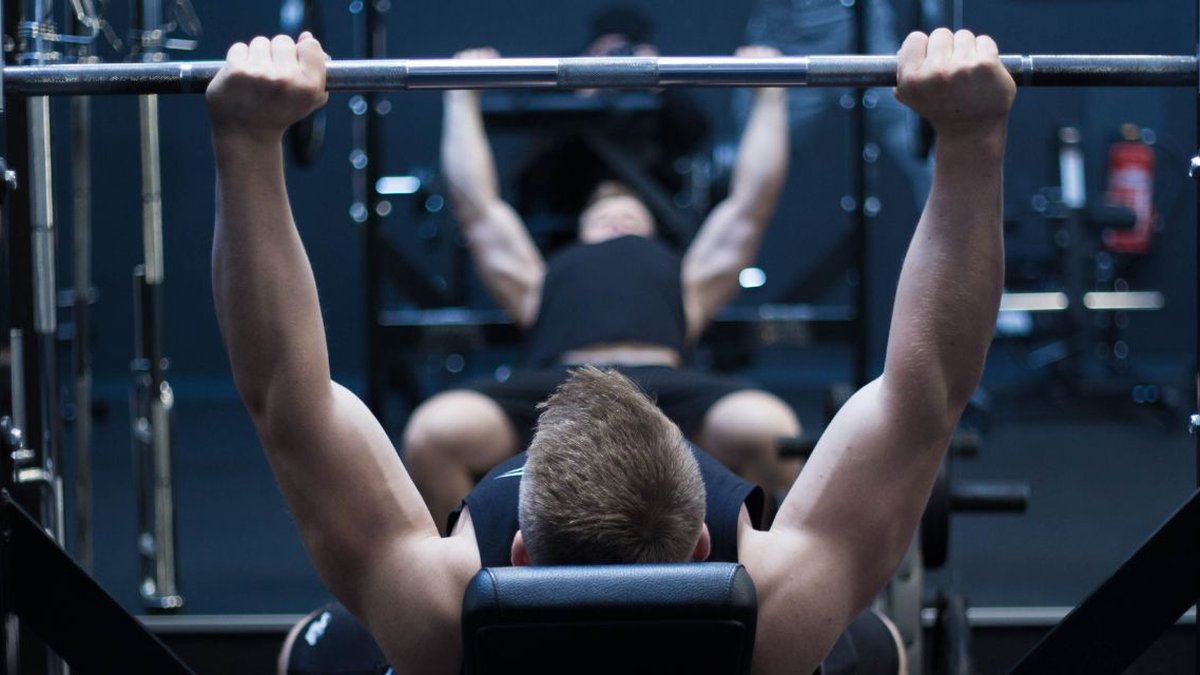 35 Melhores exercícios para cada grupo muscular segundo a ciência - Treino  Mestre